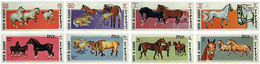 619823 MNH UMM AL QIWAIN 1969 CABALLOS - Umm Al-Qiwain