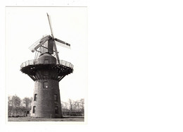 Gistel    FOTO  Van De Molen  De Merlaan       1980   MOLEN  MOULIN à EAU - Gistel