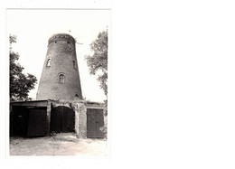 Sijsele  Damme  FOTO  Van De Molen  Oude Akkermolen       1980   MOLEN  MOULIN - Damme