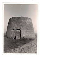 Ruiselede FOTO  Van De Strokotmolen   1980 MOLEN  MOULIN - Ruiselede