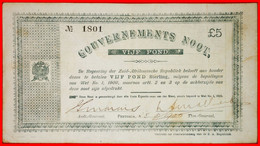 ~ GOVERNMENTAL NOTE: SOUTH AFRICA ★ 5 POND POUNDS 1900! CRISP! RARITY! JUST PUBLISHED! ★ LOW START ★ NO RESERVE! - South Africa