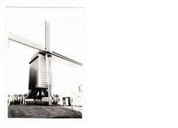 Klemskerke  De Haan    FOTO  Van De Molen Geersens  1979   MOLEN  MOULIN - De Haan