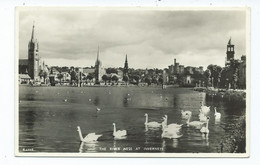 Scotland Postcard Inverness-shire The River Ness Swans Rp J.b.white Unused - Inverness-shire