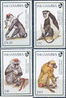 316964 MNH GAMBIA 1994 MONOS - Chimpansees