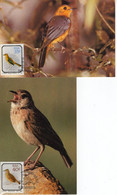 SOUTH AFRICA  1990: BIRDS, 2 Maximum Cards - Registered Shipping! - Briefe U. Dokumente