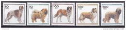 Bund 1996 - Mi.Nr. 1836 - 1840 - Postfrisch MNH - Tiere Animals Hunde Dogs - Unused Stamps