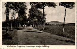 39203 - Deutschland - Jöhstadt Im Erzgeb. Annaberger Strafse Pöhlberg , Ochsenwagen - Gelaufen 1941 - Jöhstadt
