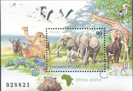 64361 MNH HUNGRIA 1997 FAUNA AFRICANA - Usati