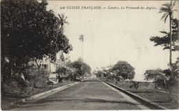 PC CONAKRY PROMENADE DES ANGLAIS FRENCH GUINEA (a28703) - Guinée Française