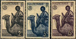 672249 HINGED MAURITANIA 1938 CAMELLOS. - Usati