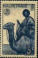 672250 HINGED MAURITANIA 1938 CAMELLOS. - Usados