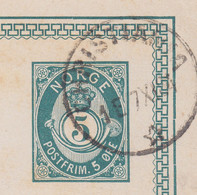 Uprated Postal Stationery Ganzsache 5 Ø Posthorn CHRISTIANIA 1884 St. JOSEPHS HOSPITAL Denmark 'Broken Frame Line' - Postwaardestukken