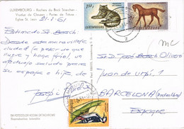 47608. Postal LUXEMBOURG Gare 1961. Fechador Estacion. Portes De Treves, Vuaduxto De Clausen - Covers & Documents