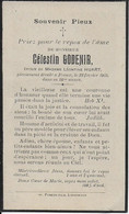 FREUX ..-- Mr Célestin GODENIR , époux De Mme Léontine HUART , Né En 1847 , Décédé En 1923 . - Libramont-Chevigny