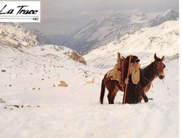 Cinéma - Photo Du Film La Trace (Bernard Favre, 1983) - Richard BERRY - Cheval, Mulet, Montagnes Sous La Neige - Photos