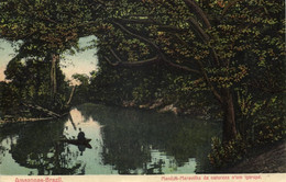 Brazil, MANAOS MANAUS, Maravilha Da Natureza N'um Igarapé (1913) Postcard - Manaus