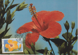 Carte Maximum/Maximum Kaart° - 2589 - BUZIN - Fleurs / Bloemen - Hibiscus Rosa-sinensis - Rose De Chine/Chinese Roos - 1991-2000