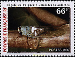 43657 MNH POLINESIA FRANCESA 1996 CIGARRA DE POLINESIA - Usados