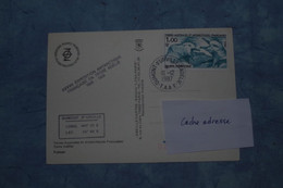 2-730  Antarctique TAAF FAAT Terre Adelie Land CPM Antarctic South Pole Sud Carte Maximum Oiseau Fulmar EPF - Behoud Van De Poolgebieden En Gletsjers