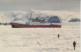 Birtish Antarctic Territory (BAT) Postcard  RRS Bransfield In Fast Ice At Signy Isl Ca Signy 19 JAN 1980 (58258) - Covers & Documents
