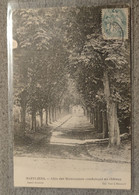 95 . MAFFLIERS . Allee Des Marronniers Conduisant Au Chateau - Maffliers