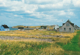 Saint Pierre : L'ile Aux Marins    ///  Ref.  Nov.  22 // N° 22.75 - Saint-Pierre-et-Miquelon