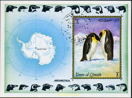 208497 USED UMM AL QIWAIN 1972 FAUNA ANTARTICA - Umm Al-Qiwain