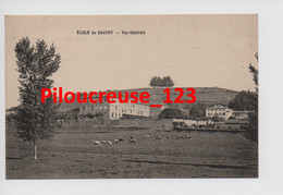69 Rhône - BRIGNAIS - " Ecole De SACUNY - Vue Générale " - TBE - Brignais