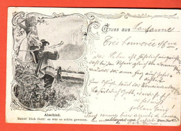 ZSK-35  Litho Abschied Gruss Aus...  Lausanne  Pionier. Gelaufen 1898 - Greetings From...