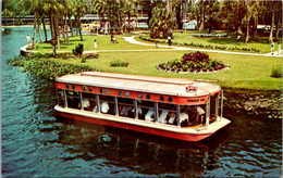 Florida Silver Springs Glass Bottom Boat On The Silver River - Silver Springs