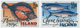 66938 MNH ISLANDIA 1999 PECES - Lots & Serien
