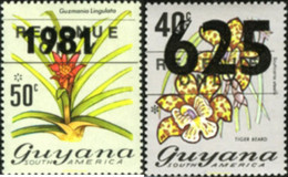 369168 MNH GUYANA 1981 MOTIVOS VARIOS - Guyana (1966-...)