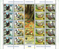 12712 MNH YUGOSLAVIA 2000 PERDIZ PARDILLA Y GRIEGA - Used Stamps