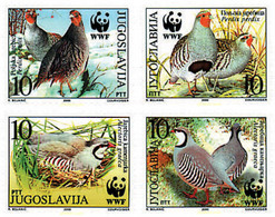 75199 MNH YUGOSLAVIA 2000 PERDIZ PARDILLA Y GRIEGA - Gebruikt