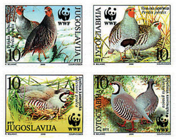 75199 MNH YUGOSLAVIA 2000 PERDIZ PARDILLA Y GRIEGA - Used Stamps