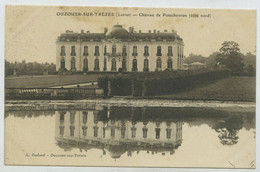 45 - Ouzouer Sur Trezee, Château De Pontchevron (côté Nord) (lt9) - Ouzouer Sur Loire