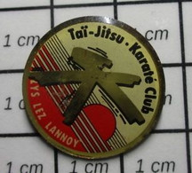 810H Pin's Pins / Beau Et Rare / SPORTS / KARATE CLUB  LYS LEZ LANNOY - Judo