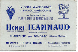 Après Le Phylloxéra Replanter La Vigne PEPINIERES VIGNES AMERICAINES   JEANNAUD Chadeniers Par Gémozac Charente Maritime - 1900 – 1949