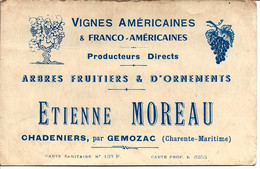 Après Le Phylloxéra Replanter La Vigne PEPINIERES VIGNES AMERICAINES   MOREAU  Chadeniers Par Gémozac Charente Maritime - 1900 – 1949