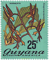 88380 MNH GUYANA 1973 FLORES - Guyana (1966-...)