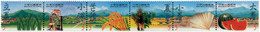 4736 MNH CHINA. FORMOSA-TAIWAN 2000 LOS 24 PERIODOS DEL CALENDARIO AGRICOLA ANTIGUO - Collezioni & Lotti