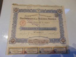 Compagnie Tunisienne Des PHOSPHATES DU DJEBEL MDILLA (1920) - Other & Unclassified