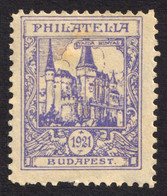 Vajdahunyad Hunedoara Castle Palace - Philatelia 1921 Romania Occupation Transylvania Hungary LABEL CINDERELLA VIGNETTE - Transilvania