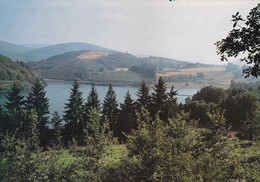 81, Angles-La-Raviège, Le Lac, Aux Confins Du Tarn Et De L'Hérault - Angles