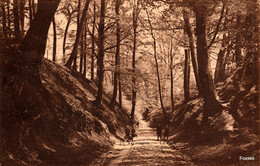 * 13.3 - Tervuren - Tervueren  - Le Parc - Chemin Creux - Tervuren