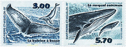 70010 MNH SAN PEDRO Y MIQUELON 2000 CETACEOS - Gebraucht