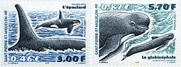 78343 MNH SAN PEDRO Y MIQUELON 2001 CETACEOS - Oblitérés