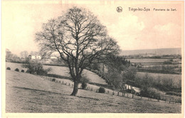 CPA Carte Postale Belgique  Tiège Lez Spa  Panorama De Sart  VM58864 - Jalhay