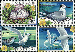 86464 MNH TOKELAU 1999 AVES - Tokelau