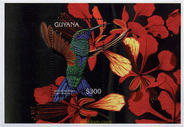 87815 MNH GUYANA 1996 COLIBRIS - Guyana (1966-...)